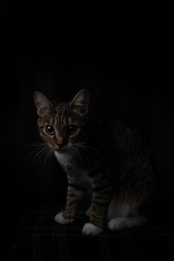 Photograph by Бальзирова Наталья