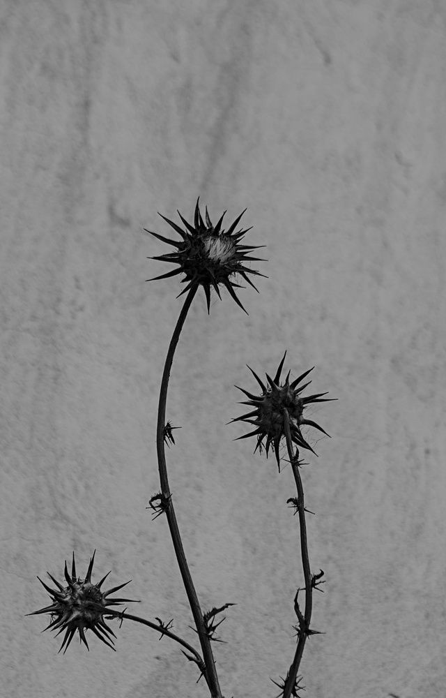 Photograph by Moulay Ahmed KASSI