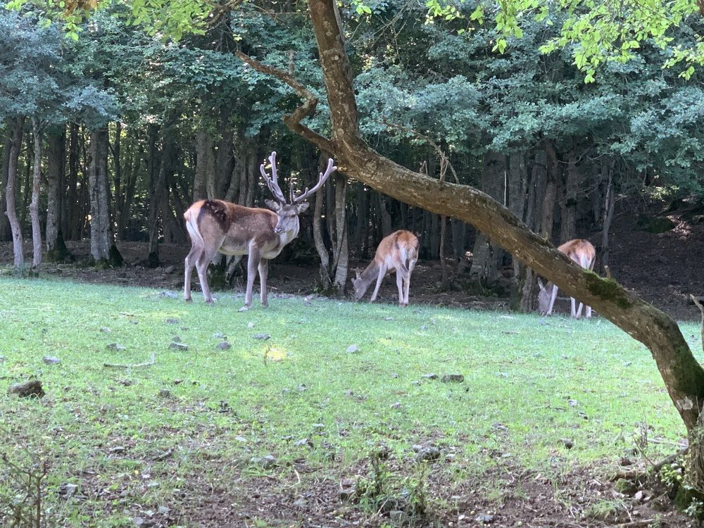 Photograph by  mohsenzadeh