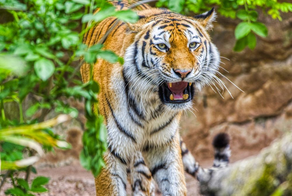 Photograph by Aleš Maučec