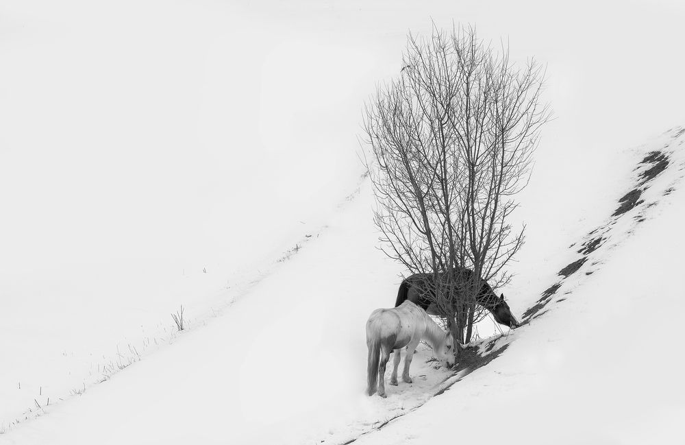 Photograph by Petya Lazarova