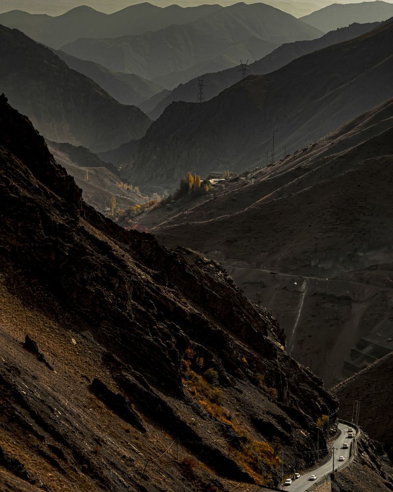 Фотография автора Mohammed Alhusseini