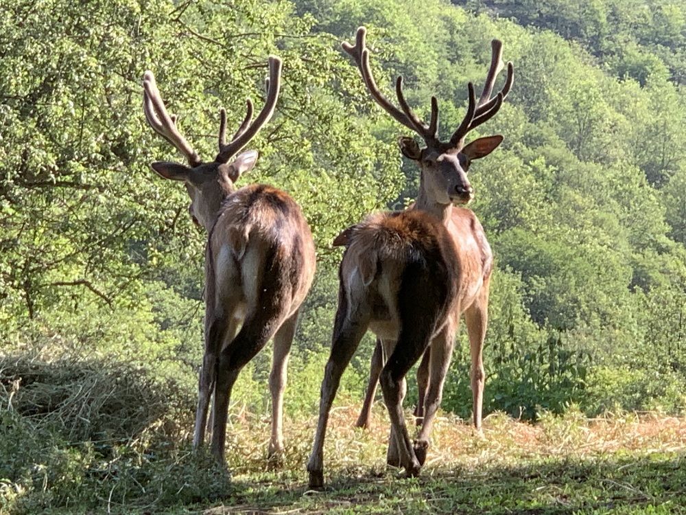 Photograph by  mohsenzadeh