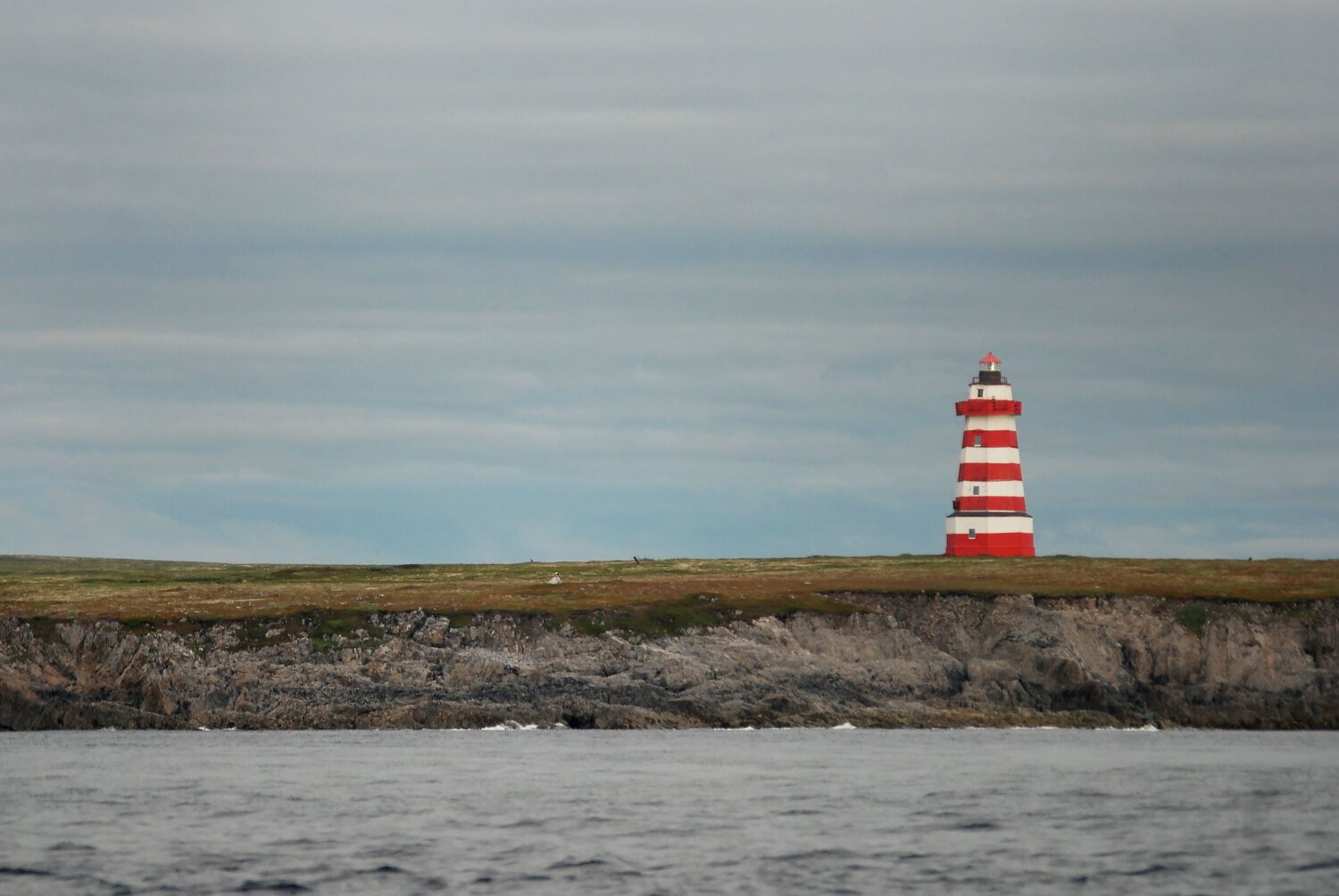 Photo #9923879