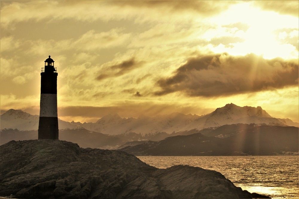 Фотография автора OSMIR ZANETTE