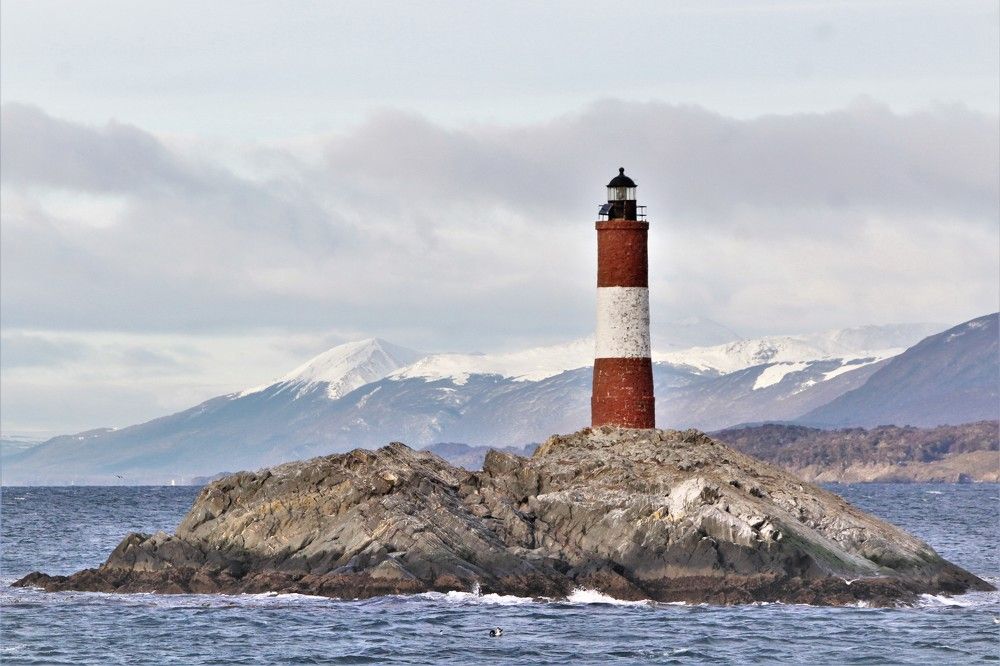 Фотография автора OSMIR ZANETTE