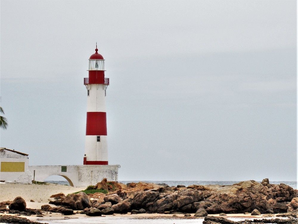 Фотография автора OSMIR ZANETTE