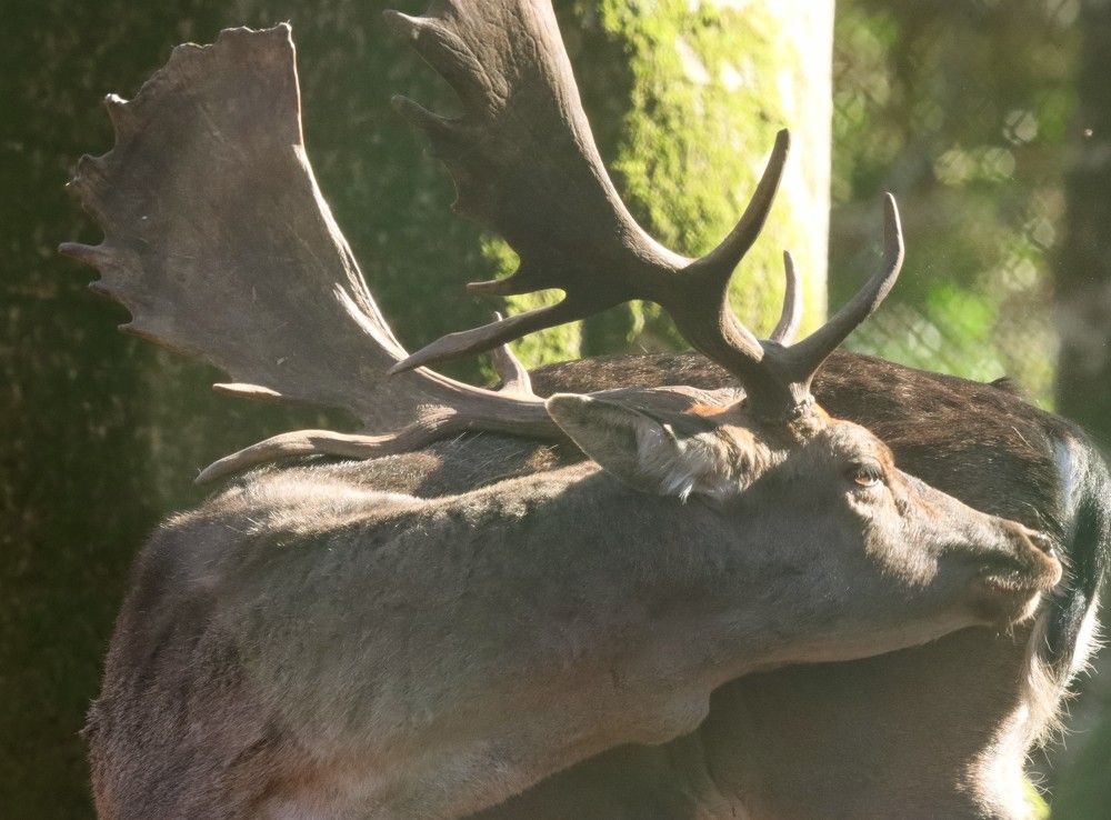 Photograph by Giuseppe Catalano