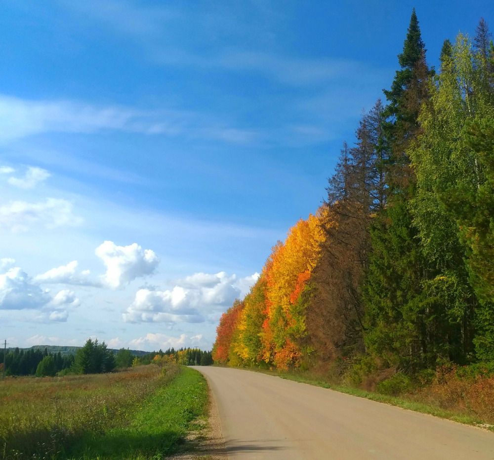 Photograph by Елена Муковникова