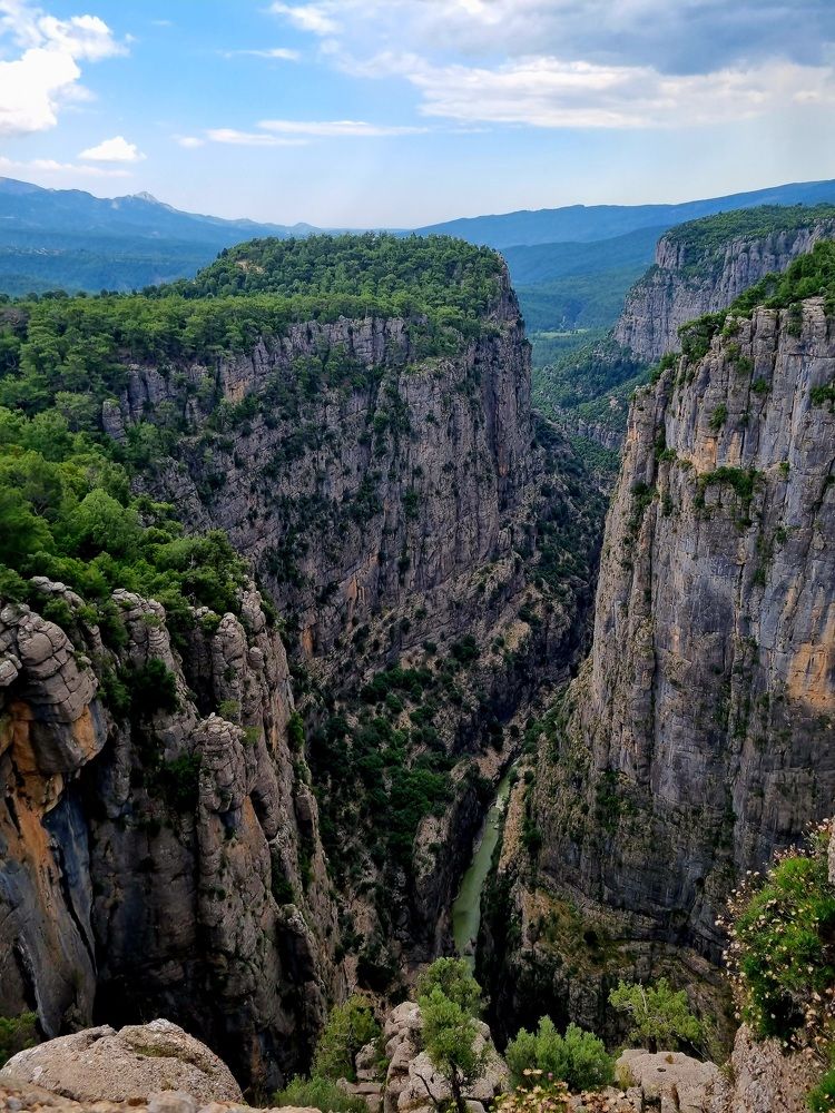 Photograph by Анна Паулюконети