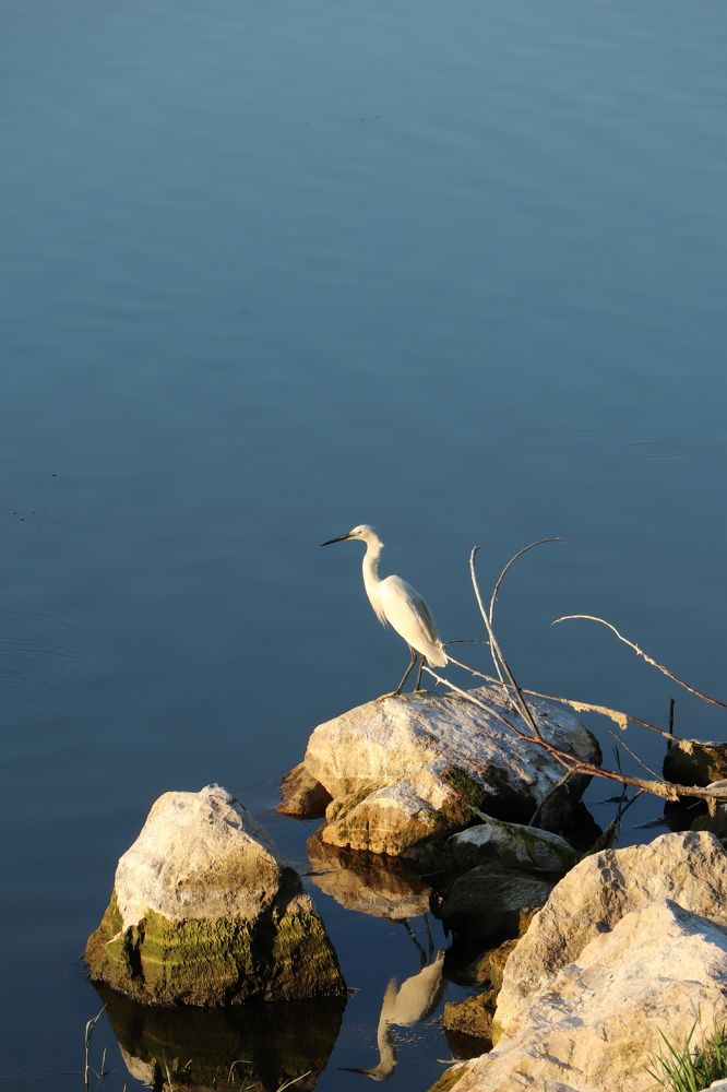 Photograph by Buket Demirel