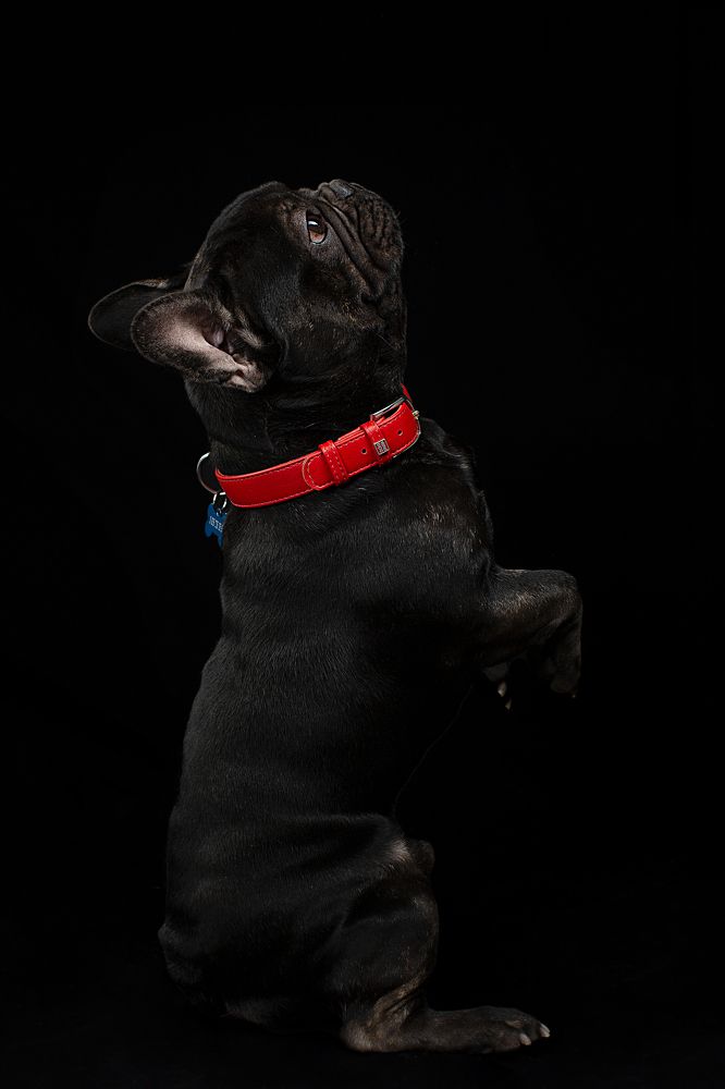 Photograph by Александр Ляхнович