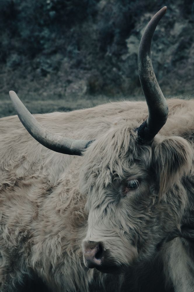 Photograph by Ekaterina Erofeeva