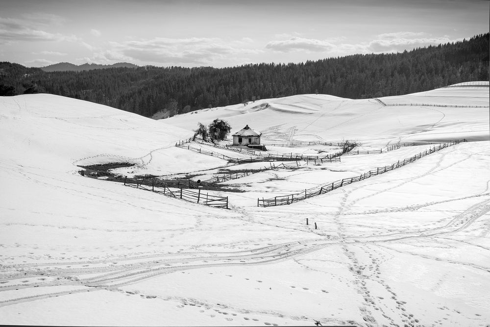 Photograph by Petya Lazarova