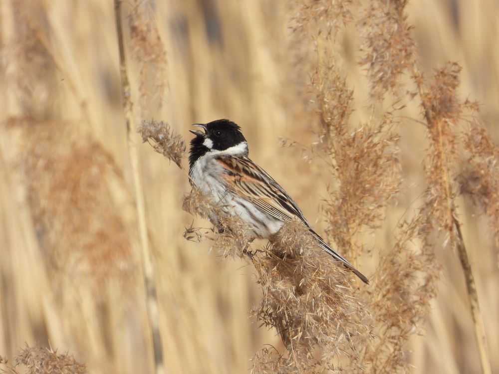 Photograph by Владимир Джерихов