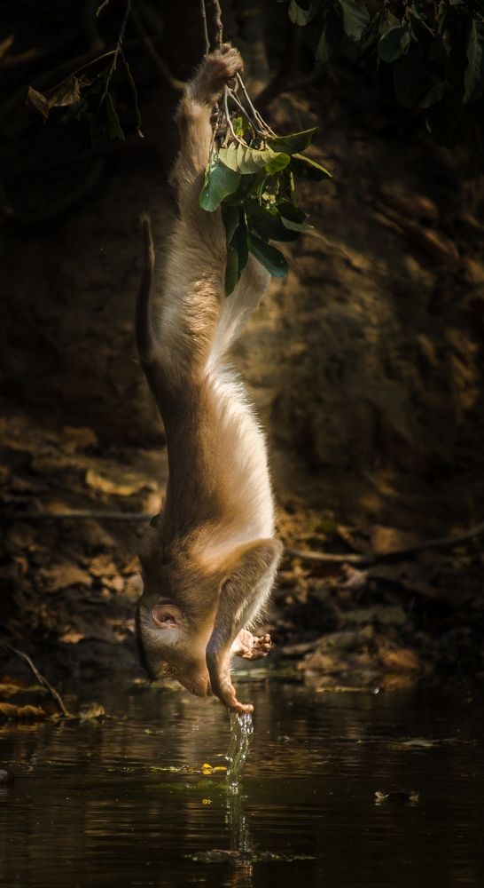 Photograph by Shadab Ishtiyak