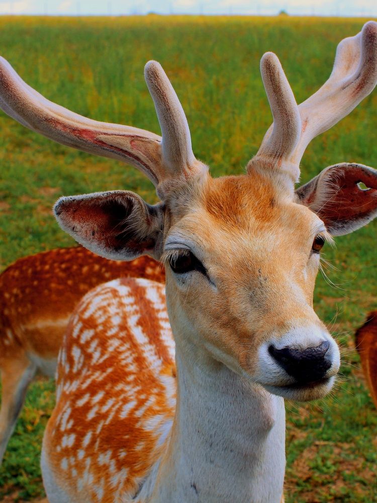 Photograph by Вероника Архипова