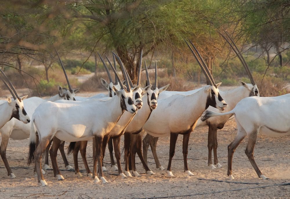 Фотография автора Наталья Липовская