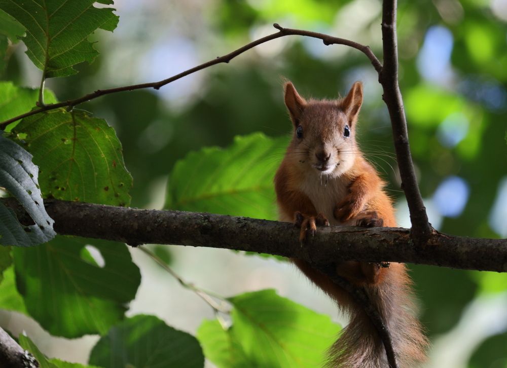 Photograph by Юлия Куликова