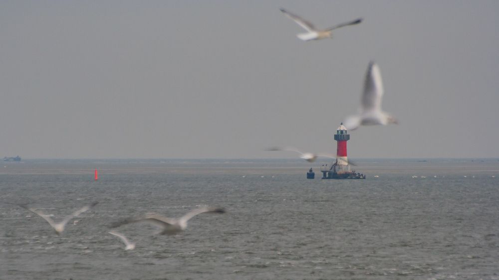 Photograph by Крючков Евгений