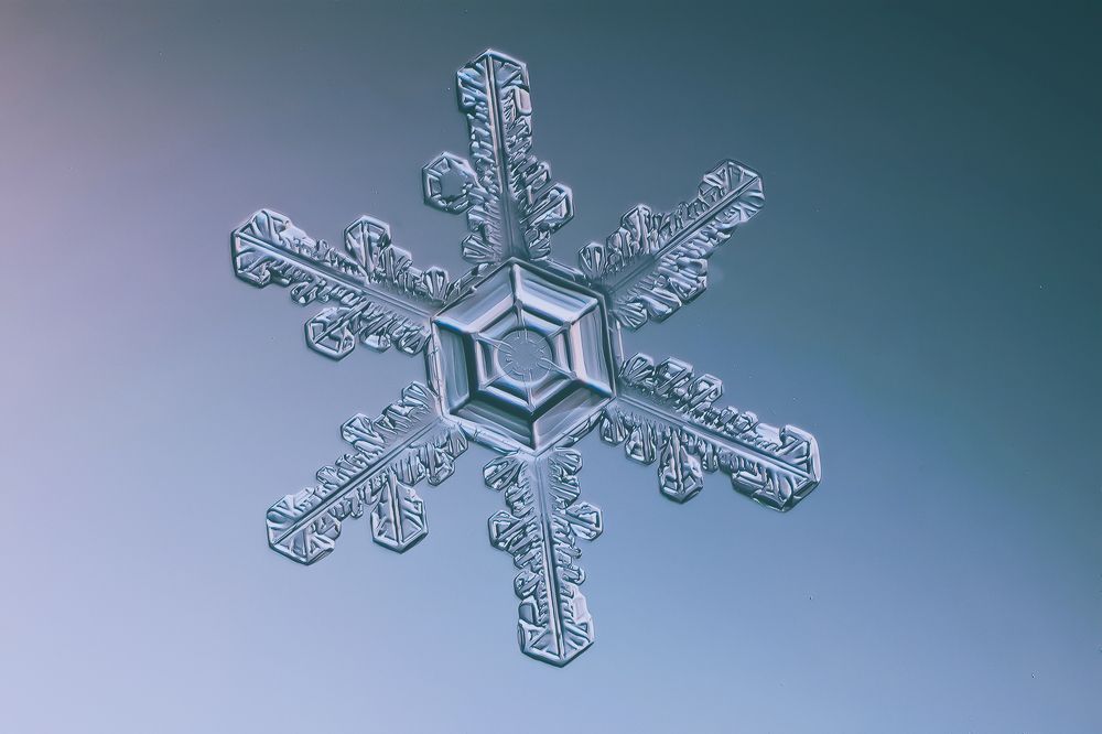 Photograph by Алексей Козлов