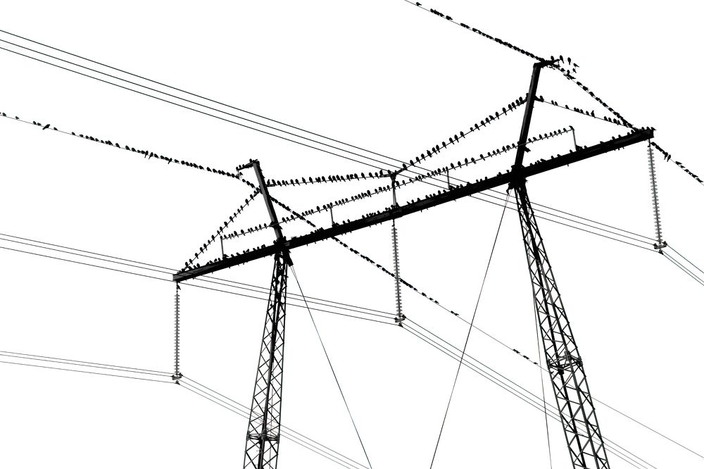 Photograph by Юрий Спасенников