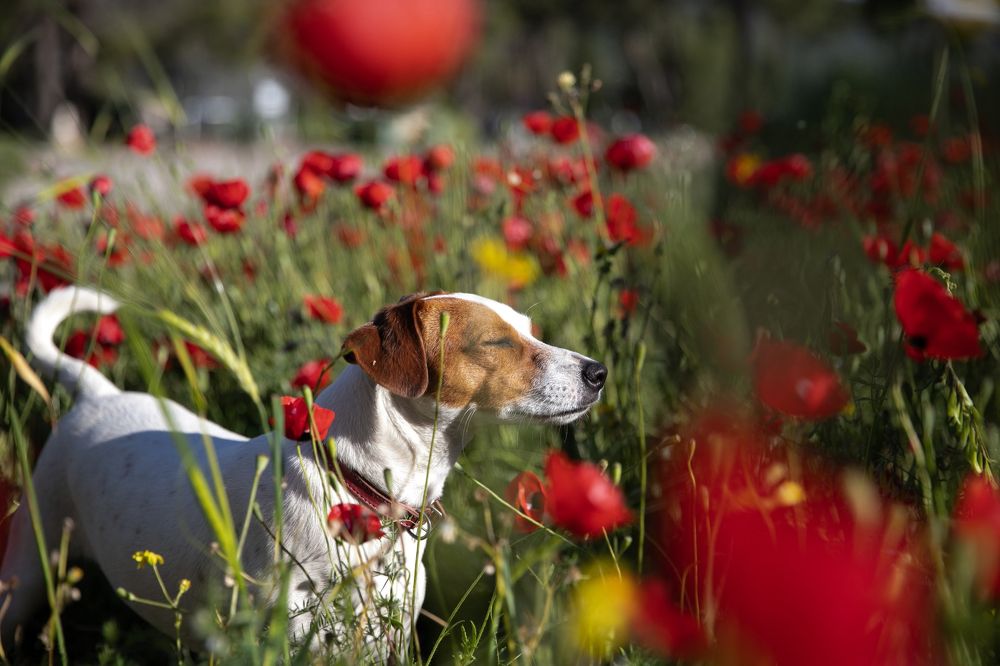 Photograph by marianna chechik