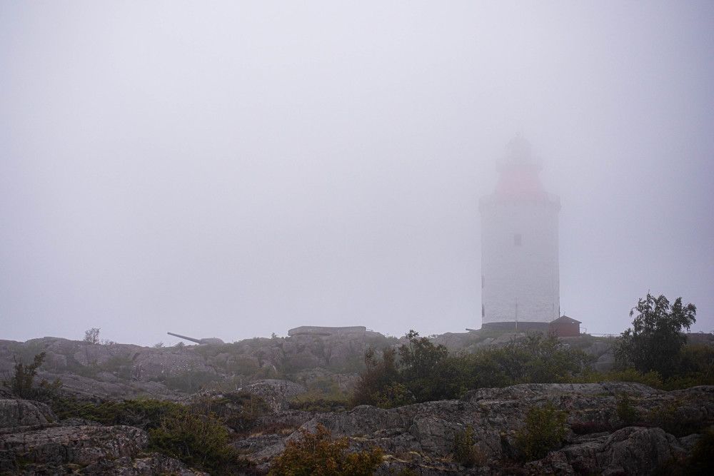 Photograph by Vitalijs Mironovs