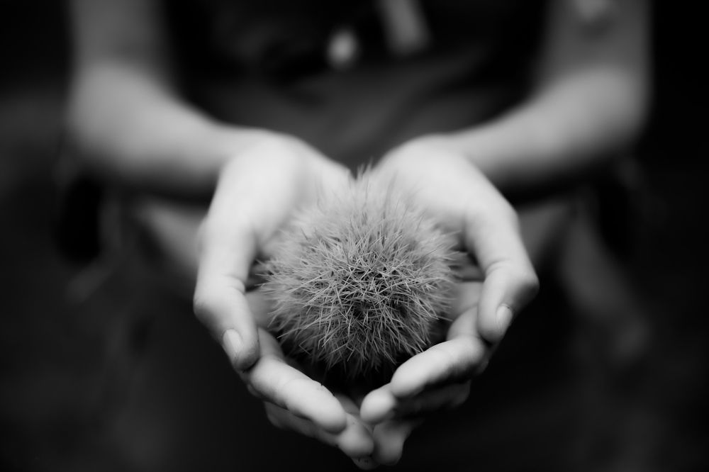 Photograph by marianna chechik