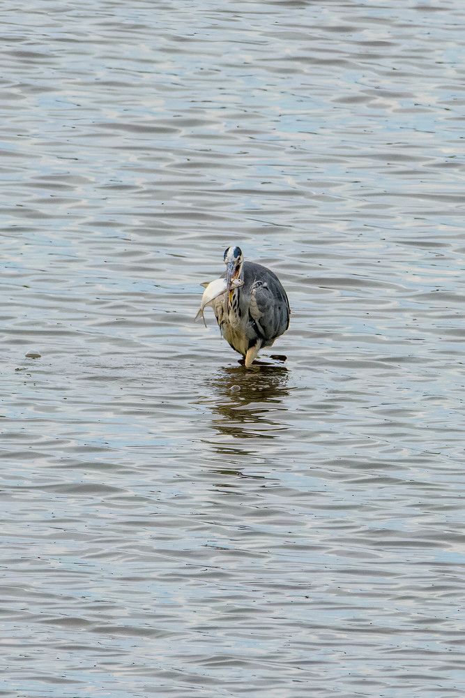 Photograph by Vitalijs Mironovs