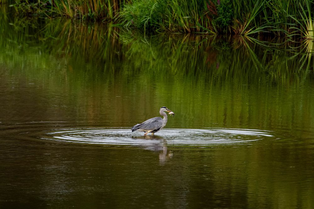 Photograph by Vitalijs Mironovs