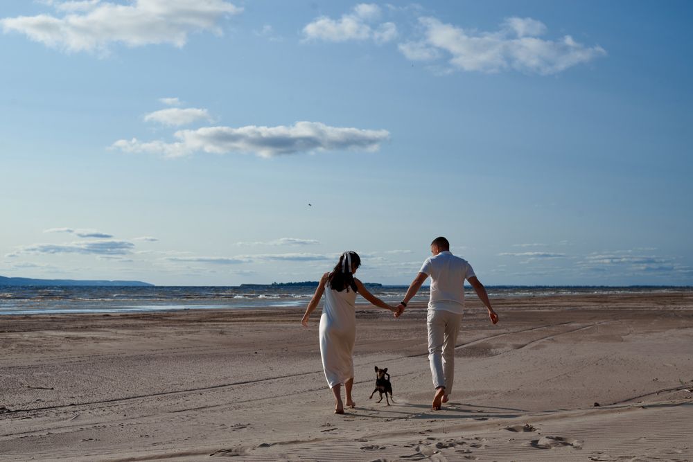 "Будьте всегда так счастливы, гав!"