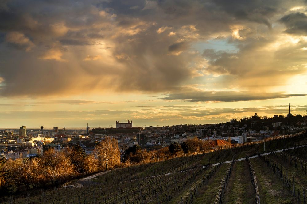 Фотография автора Matej Kotula