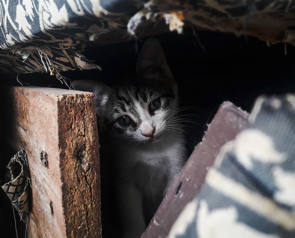 Photograph by Ömer Atasayar