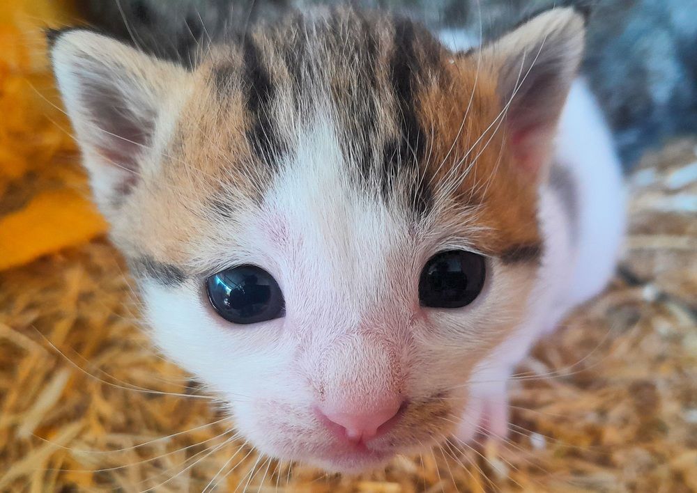 Photograph by Ömer Atasayar