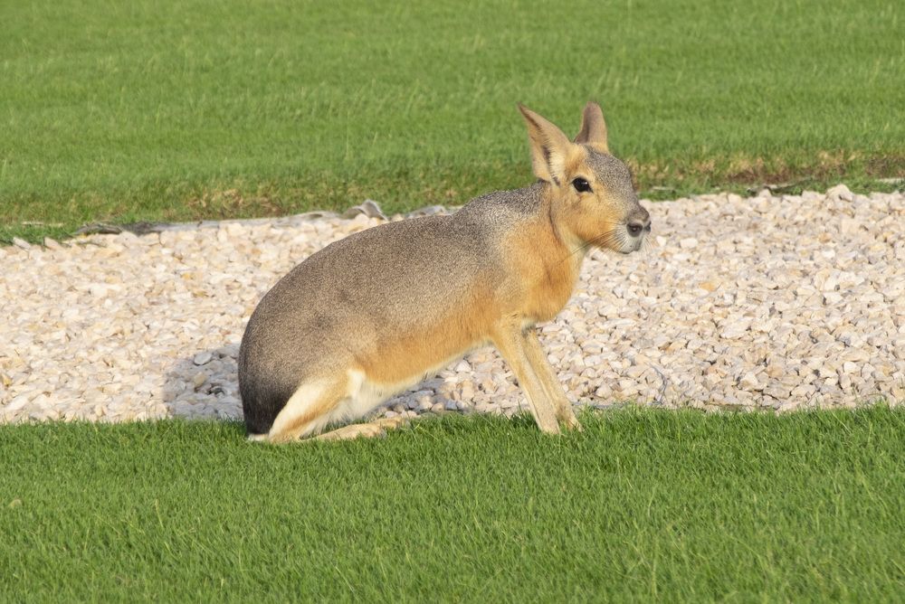Фотография автора Наталья Липовская