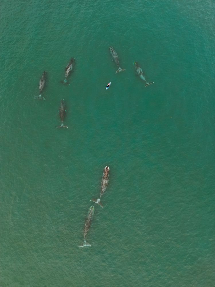 Воссоединение с природой