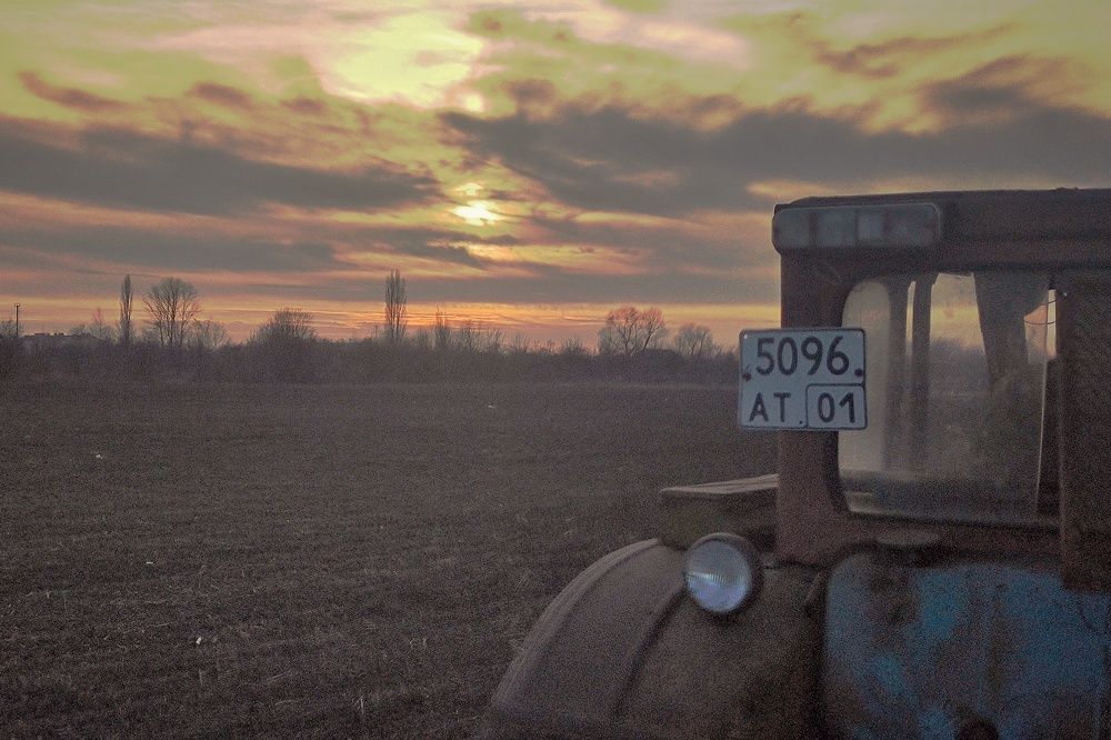 Photo #9925134