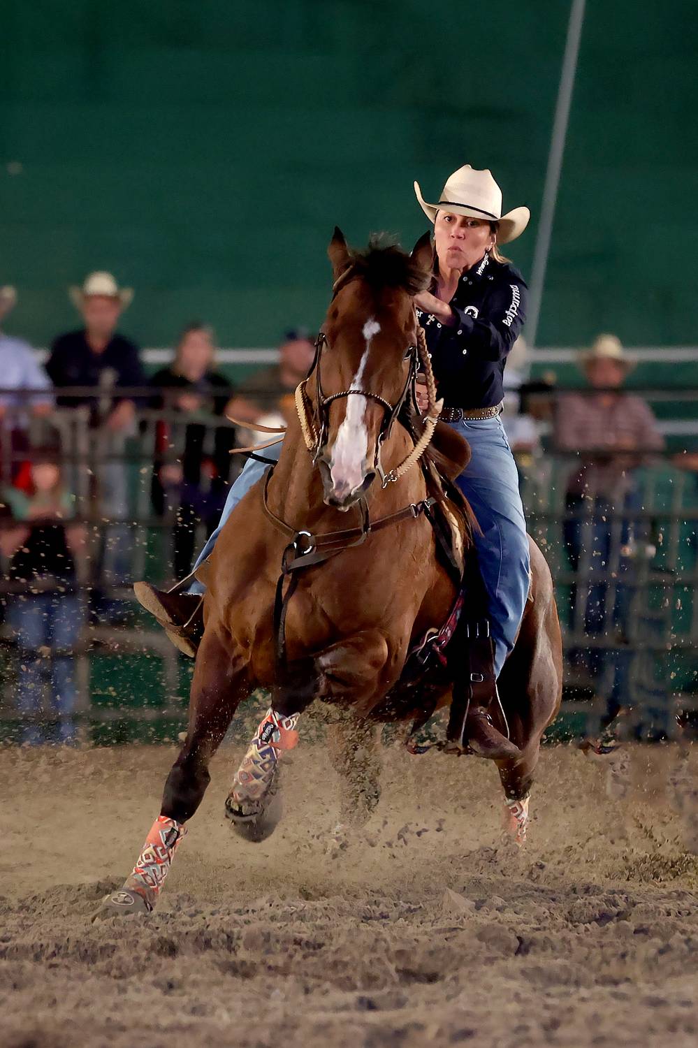 Фотография #9925136