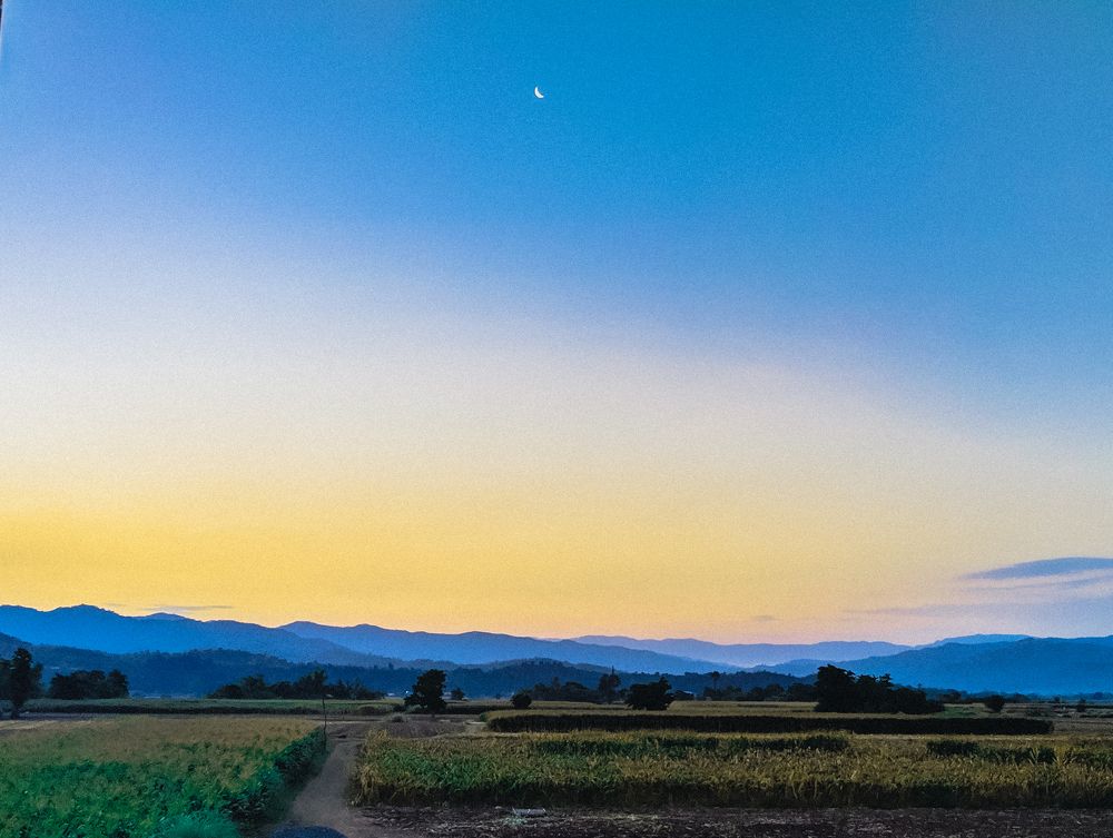 Photograph by Earlphilip John Viloria