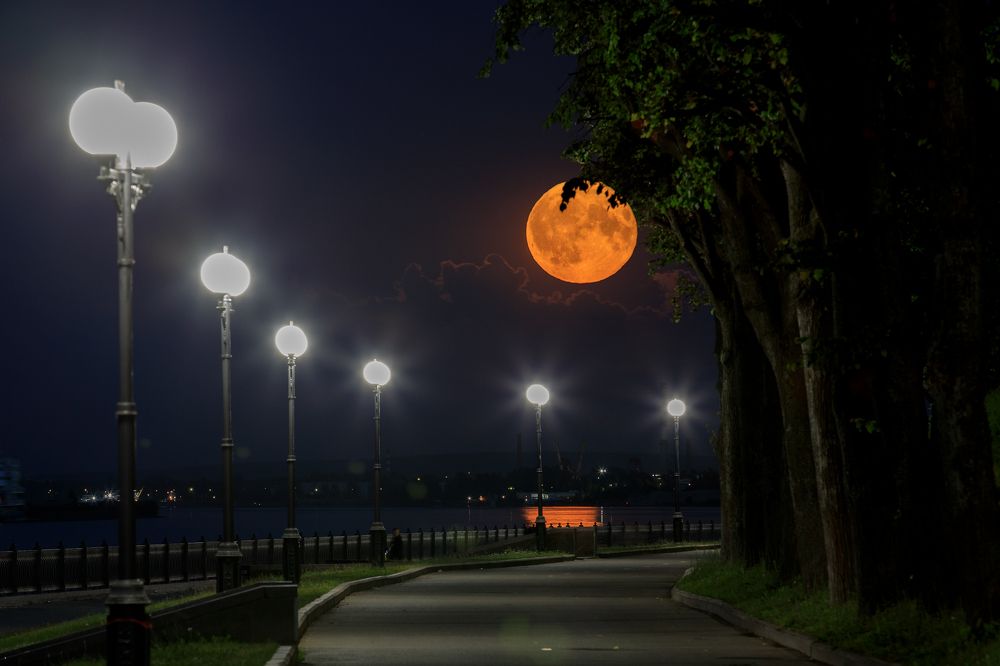 Photograph by Сергей