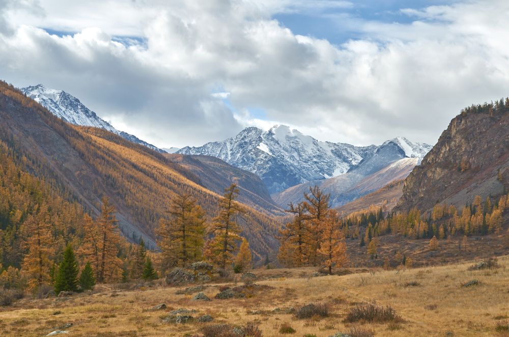 Фотография автора Сергей Королёв