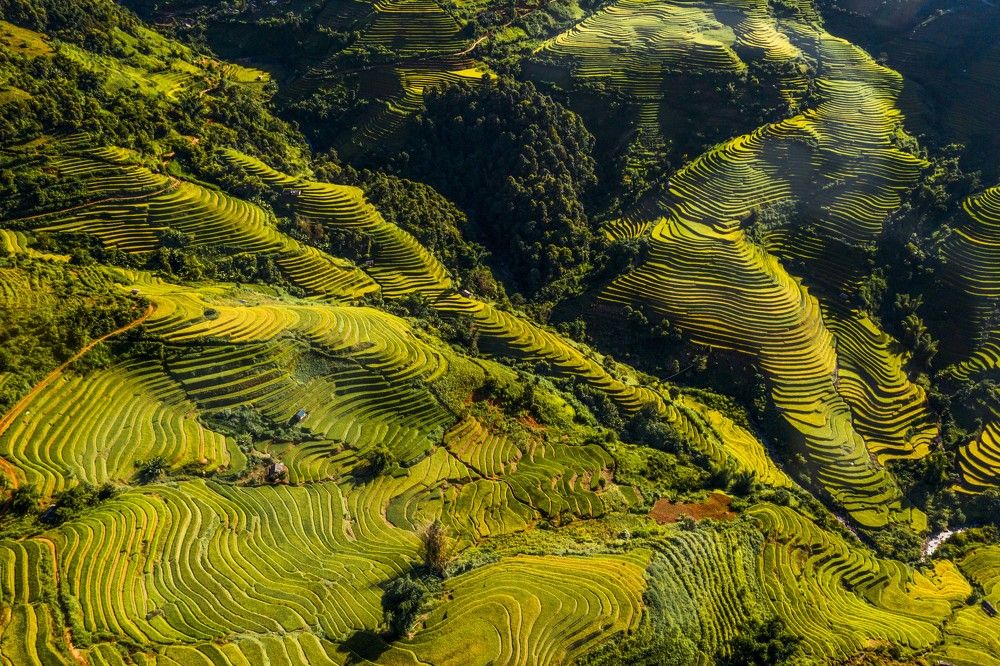 Photograph by Nguyen Thi Kim Thinh