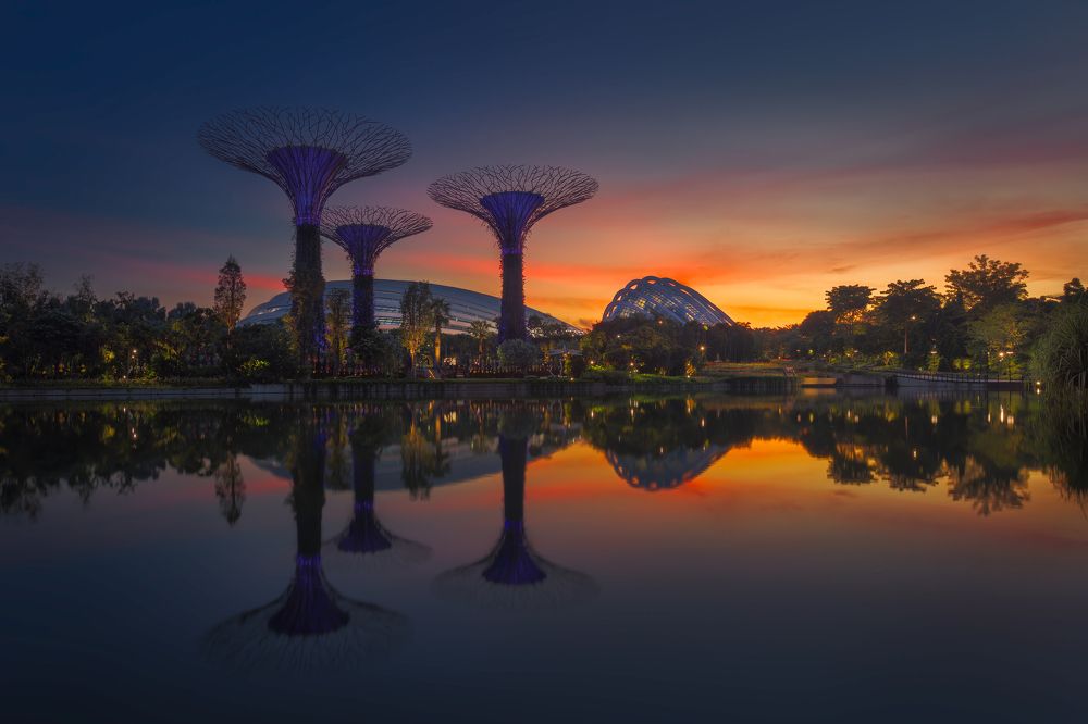 Photograph by WANG QIAN