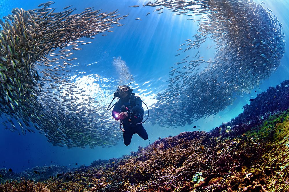 Jikomalamo Highlight