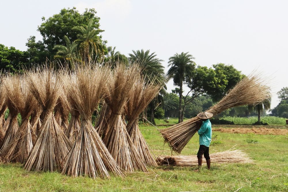 Photograph by SURAJIT SARKAR