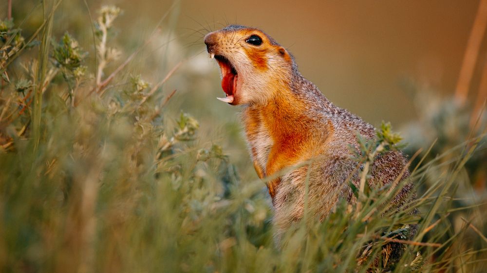 Photograph by Владимир Харук