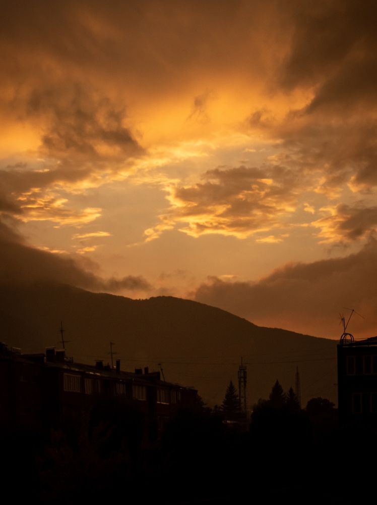 Photograph by Margarita Presidentova