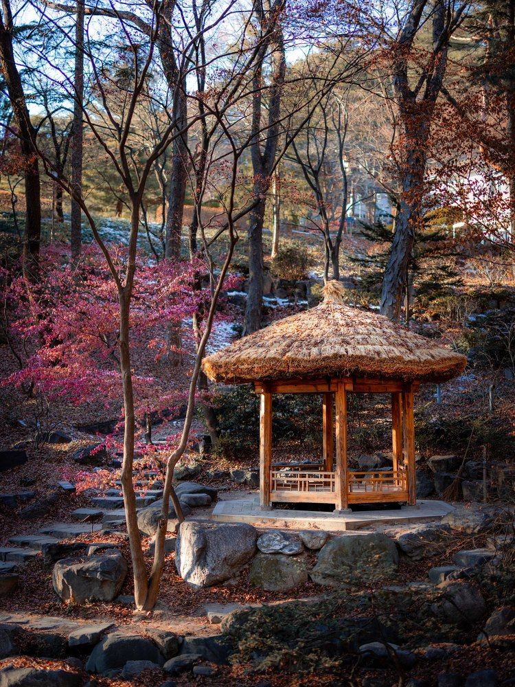 Photograph by Maxim Voronov