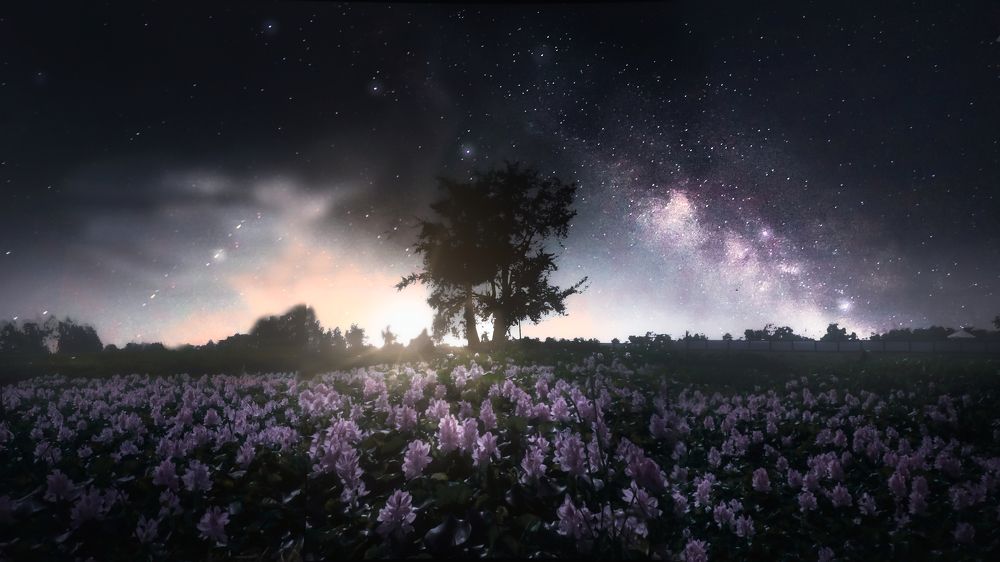 From Dream to Reality